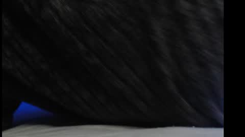 Snapshot of casidy1 chatting on 03/06/25, 06:59 casidy1 online show from 03/06/25, 06:59