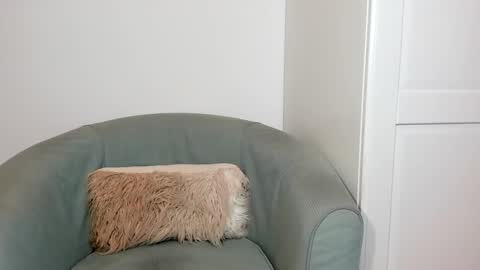 Snapshot of cassieandmarco chatting on 03/26/26, 08:47 cassiecute - onlyfans account online show from 03/26/26, 08:47