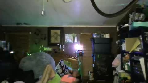 Snapshot of cassistiger69 chatting on 11/02/25, 07:11 cassistiger69 online show from 11/02/25, 07:11