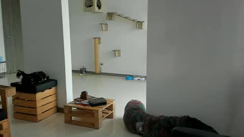 Snapshot of cassjimenez chatting on 03/22/26, 11:57 Cassandra online show from 03/22/26, 11:57