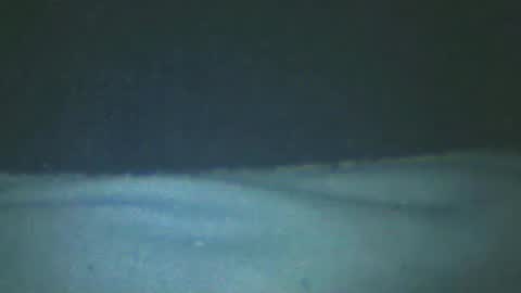 castells online show from 02/20/25, 05:18