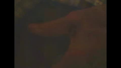 castells online show from 02/23/25, 06:56