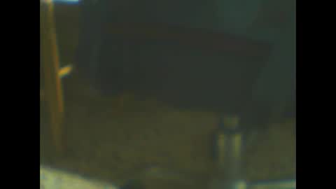 castells online show from 10/20/25, 05:02