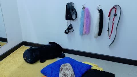 Cata online show from 01/21/25, 06:02