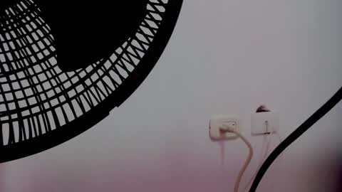 catalaia_stomm online show from 01/17/25, 01:24