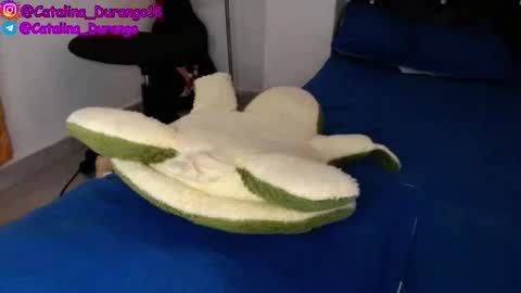 Catalina Durango  online show from 11/22/25, 09:36