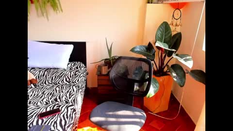 Snapshot of catalinalince chatting on 12/09/24, 07:07 Cataina Lince online show from 12/09/24, 07:07