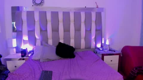 Cat  online show from 12/07/24, 05:09