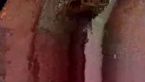 catdaddy179057 online show from 03/12/26, 10:54