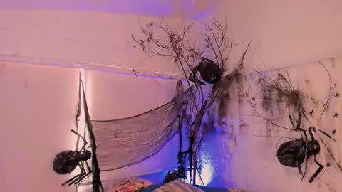 Catleya  online show from 11/01/25, 08:33