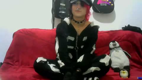 Cat online show from 06/27/26, 11:43