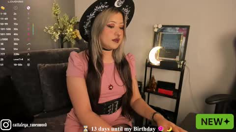 Snapshot of cattaleya_ravenwood chatting on 09/11/25, 04:40 Cattaleya Ravenwood online show from 09/11/25, 04:40