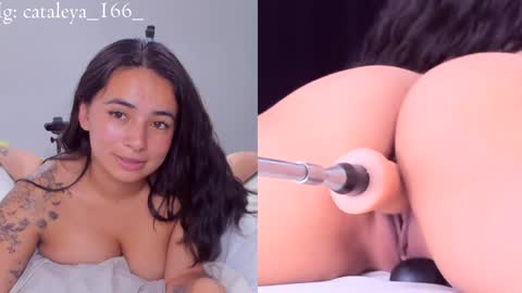 Cattleya Annie  online show from 12/31/24, 12:43