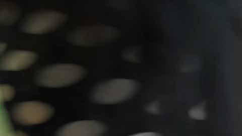 cattleyascaly online show from 09/25/25, 07:39