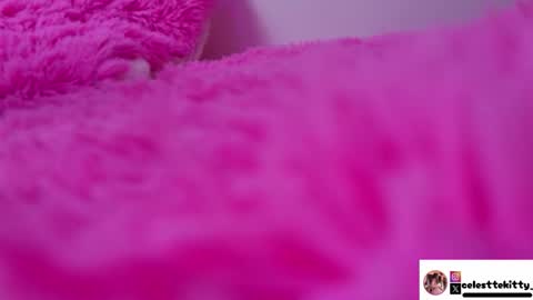 Snapshot of celestte_evans_1 chatting on 01/18/26, 06:17 celestte_evans_1 online show from 01/18/26, 06:17