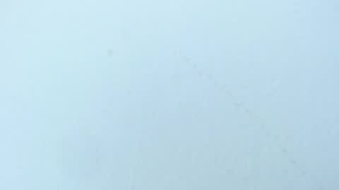 celiani_caleb online show from 11/03/25, 03:08