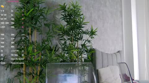 Snapshot of celinemeyerr chatting on 01/31/25, 01:56 CelineMeyer online show from 01/31/25, 01:56
