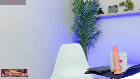 Snapshot of cellesteevans chatting on 01/20/25, 04:45 Celeste online show from 01/20/25, 04:45