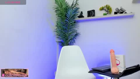 Snapshot of cellesteevans chatting on 01/25/25, 09:04 Celeste online show from 01/25/25, 09:04