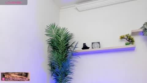 Snapshot of cellesteevans chatting on 03/12/25, 07:28 Celeste online show from 03/12/25, 07:28