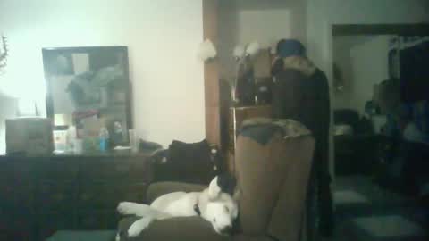 GigaChad online show from 10/29/25, 05:42