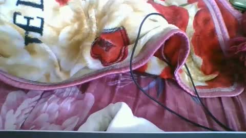 chantale483461 online show from 05/10/26, 05:18