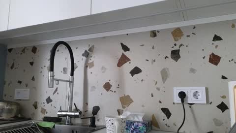 Snapshot of chantatumm chatting on 03/13/26, 06:31 Stern online show from 03/13/26, 06:31