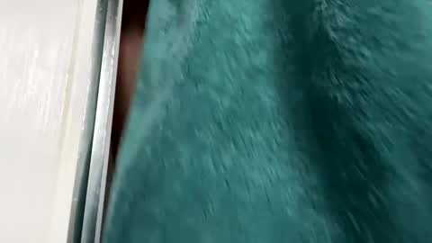 Snapshot of charlieg123 chatting on 11/29/25, 08:50 Gary online show from 11/29/25, 08:50