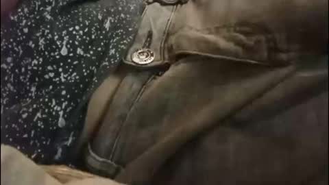 Boogog online show from 09/15/25, 05:40