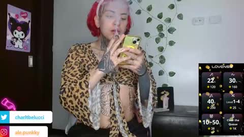 Ale punky online show from 03/27/26, 12:05