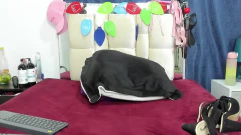 Charlott online show from 12/17/24, 10:32