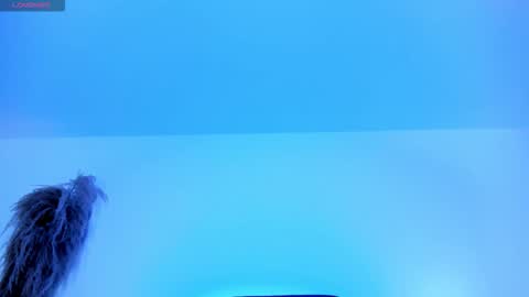 Charlotte  Everyday From 0700 to 1300 Col Time online show from 10/12/25, 11:53