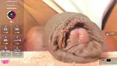 Char online show from 02/25/25, 11:11