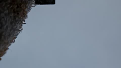 Snapshot of cheffydl chatting on 11/09/25, 12:47 cheffydl online show from 11/09/25, 12:47