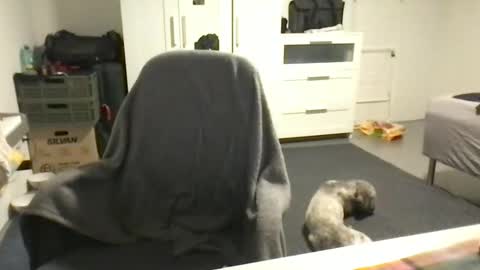 cheftoti online show from 02/16/25, 07:05