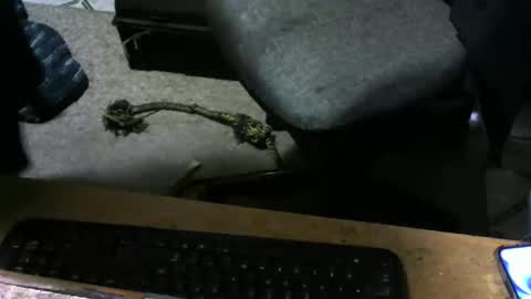 chefy online show from 11/10/25, 10:14