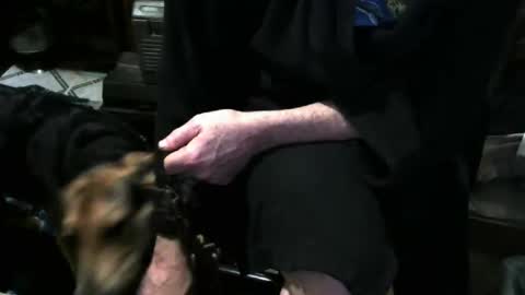 chefy online show from 12/03/25, 11:41