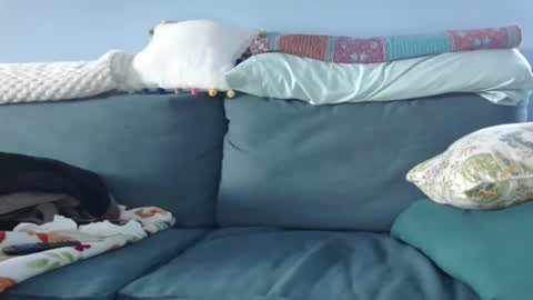 Chelsea online show from 01/15/25, 08:37