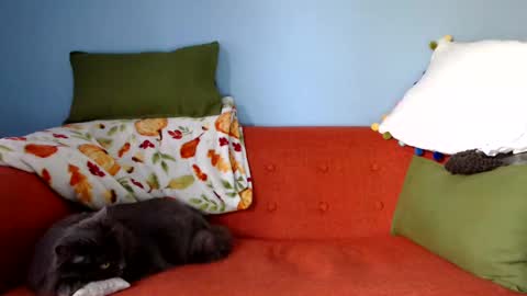 Chelsea online show from 09/23/25, 01:25