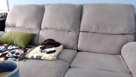 Snapshot of chelseasentra1 chatting on 02/02/26, 04:49 Chelsea online show from 02/02/26, 04:49