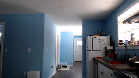 Snapshot of chelseasentra1 chatting on 03/24/26, 04:12 Chelsea online show from 03/24/26, 04:12