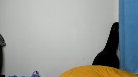 cherry_falls online show from 07/25/26, 10:29