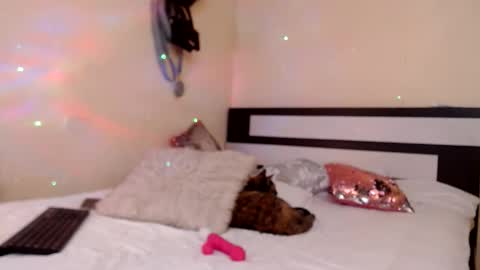 Snapshot of chikandela chatting on 04/06/26, 08:54 Valentina online show from 04/06/26, 08:54