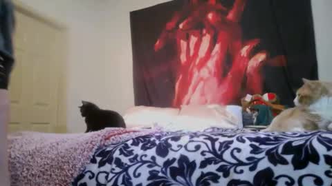 Snapshot of chinacove chatting on 02/16/26, 12:40 ChinaCove online show from 02/16/26, 12:40