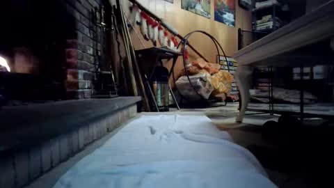 Snapshot of chippy70 chatting on 01/18/26, 07:45 chippy70 online show from 01/18/26, 07:45