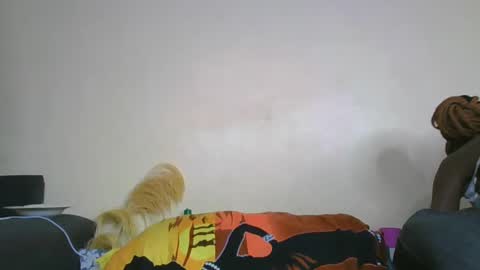 nei online show from 02/11/25, 06:01