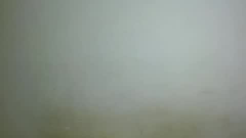 Snapshot of chocolatebony_ chatting on 01/22/25, 10:05 chocolatebony_ online show from 01/22/25, 10:05