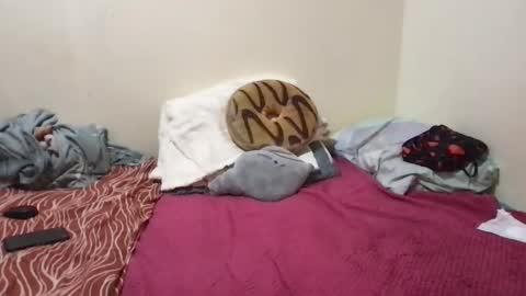 Snapshot of chris_jake1 chatting on 03/14/26, 11:04 chris_jake1 online show from 03/14/26, 11:04