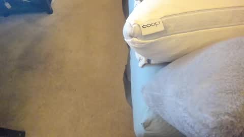 Chris Martinson XXX online show from 02/27/25, 12:43