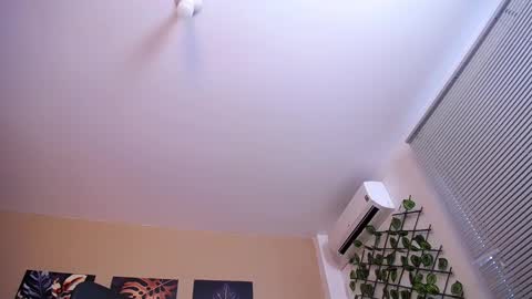 Snapshot of christopherblack_ chatting on 12/17/25, 01:06 Christopher Black online show from 12/17/25, 01:06